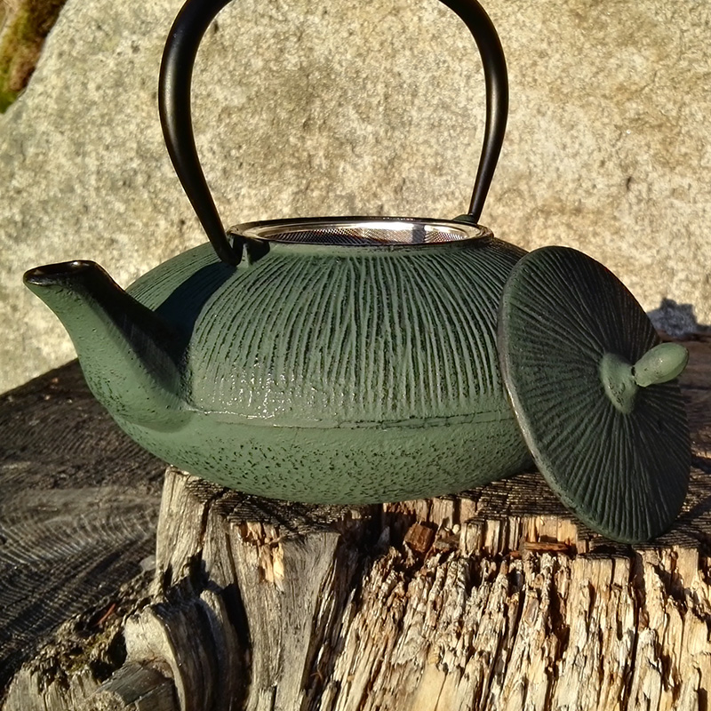 DALIAN liatinová kanvica - čajník, zelená, 1100 ml