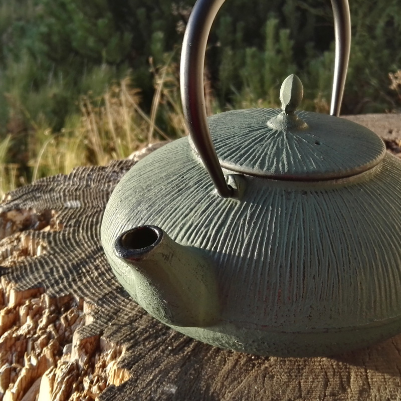DALIAN liatinová kanvica - čajník, zelená, 1100 ml
